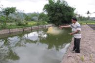 MỘT GIA ĐÌNH VĂN HÓA TIÊU BIỂU
